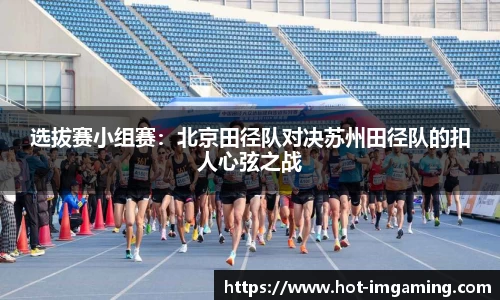 IM电竞官方网站